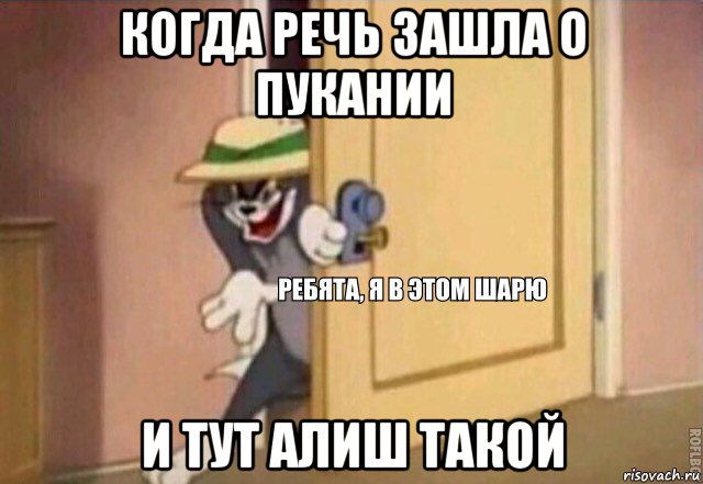 когда речь зашла о пукании и тут алиш такой, Мем    Ребята я в этом шарю