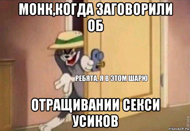 монк,когда заговорили об отращивании секси усиков, Мем    Ребята я в этом шарю