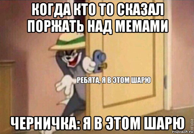 когда кто то сказал поржать над мемами черничка: я в этом шарю, Мем    Ребята я в этом шарю