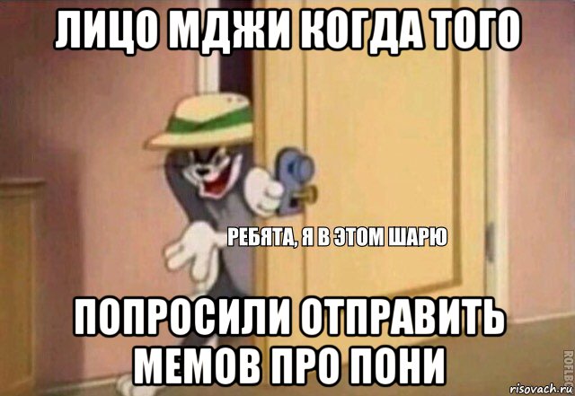 лицо мджи когда того попросили отправить мемов про пони, Мем    Ребята я в этом шарю