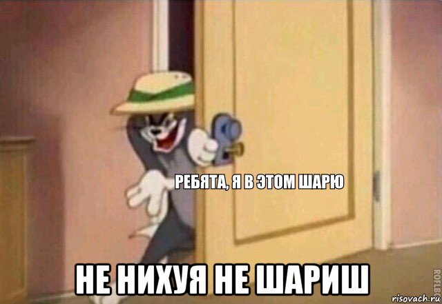  не нихуя не шариш, Мем    Ребята я в этом шарю