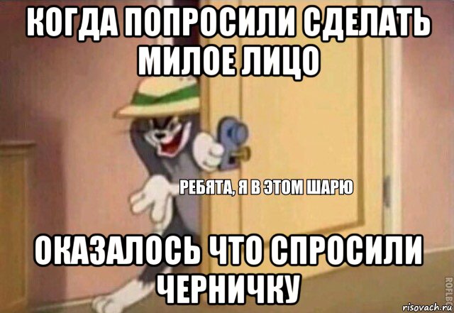 когда попросили сделать милое лицо оказалось что спросили черничку, Мем    Ребята я в этом шарю