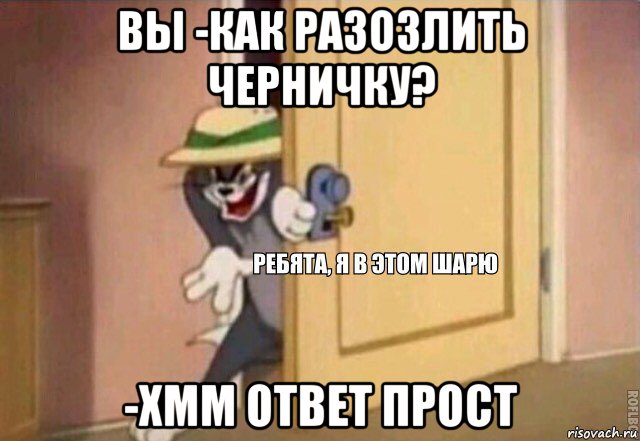 вы -как разозлить черничку? -хмм ответ прост, Мем    Ребята я в этом шарю