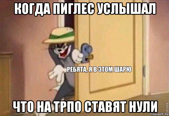 когда пиглес услышал что на трпо ставят нули, Мем    Ребята я в этом шарю