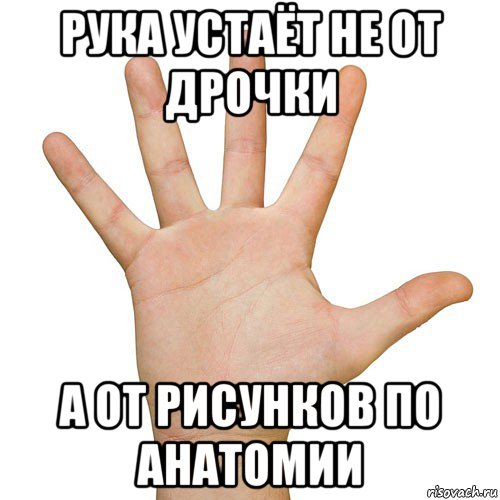 рука устаёт не от дрочки а от рисунков по анатомии, Мем Рука