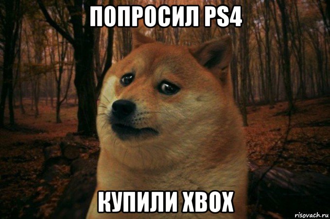 попросил ps4 купили xbox, Мем SAD DOGE