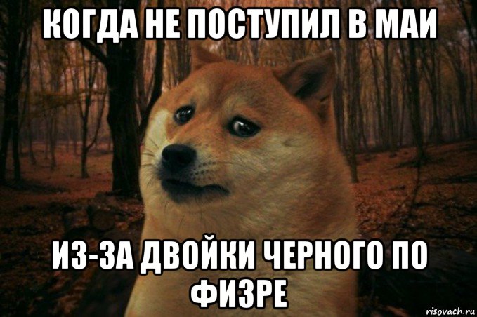 когда не поступил в маи из-за двойки черного по физре, Мем SAD DOGE