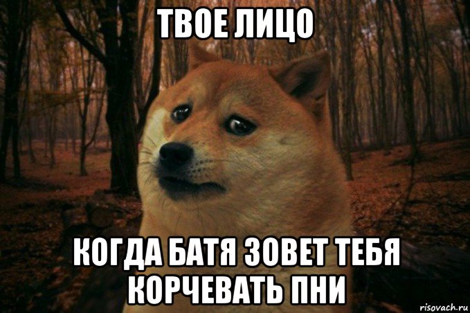 твое лицо когда батя зовет тебя корчевать пни, Мем SAD DOGE