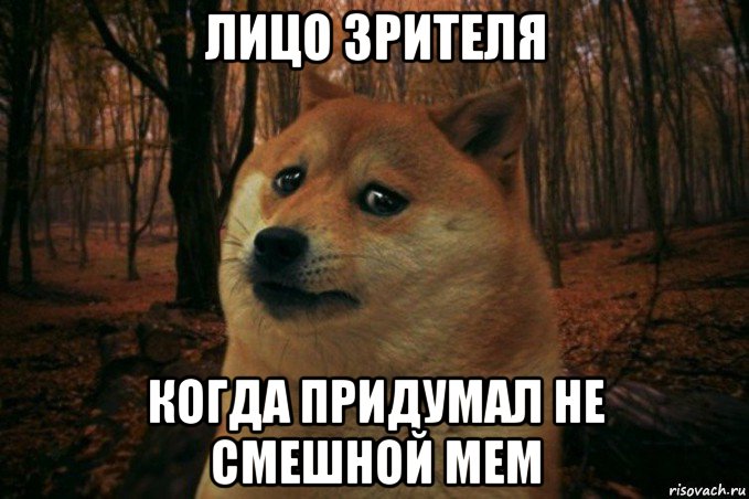 лицо зрителя когда придумал не смешной мем, Мем SAD DOGE