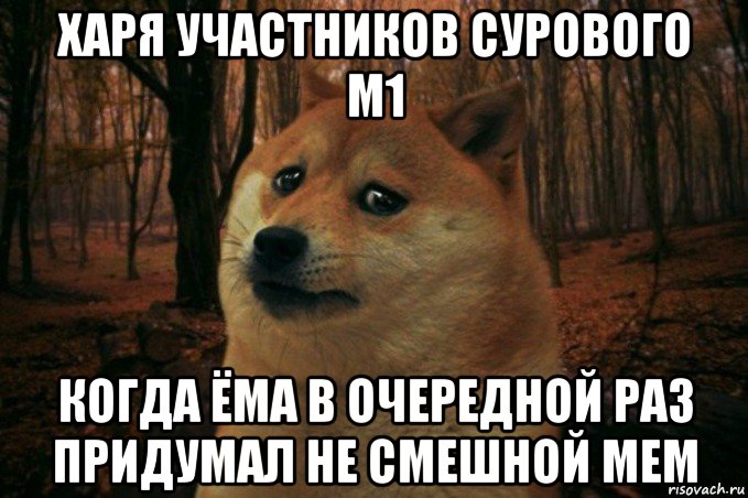 харя участников сурового м1 когда ёма в очередной раз придумал не смешной мем, Мем SAD DOGE