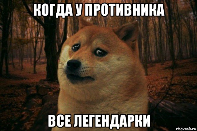 когда у противника все легендарки, Мем SAD DOGE