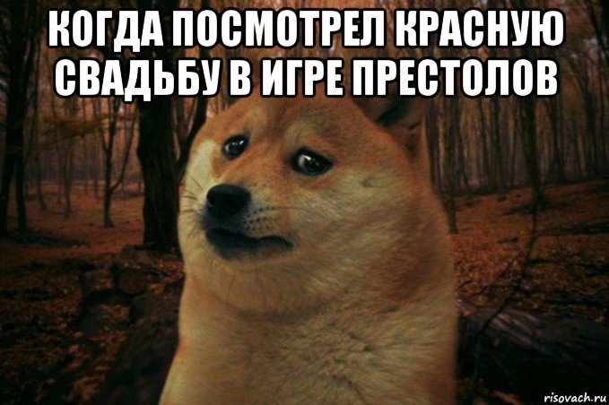 когда посмотрел красную свадьбу в игре престолов , Мем SAD DOGE