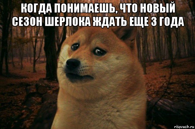 когда понимаешь, что новый сезон шерлока ждать еще 3 года , Мем SAD DOGE