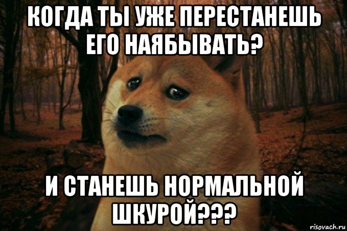 когда ты уже перестанешь его наябывать? и станешь нормальной шкурой???, Мем SAD DOGE