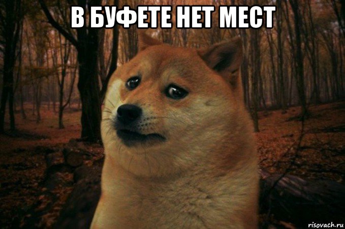 в буфете нет мест , Мем SAD DOGE