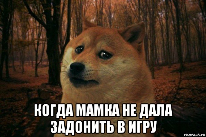  когда мамка не дала задонить в игру, Мем SAD DOGE