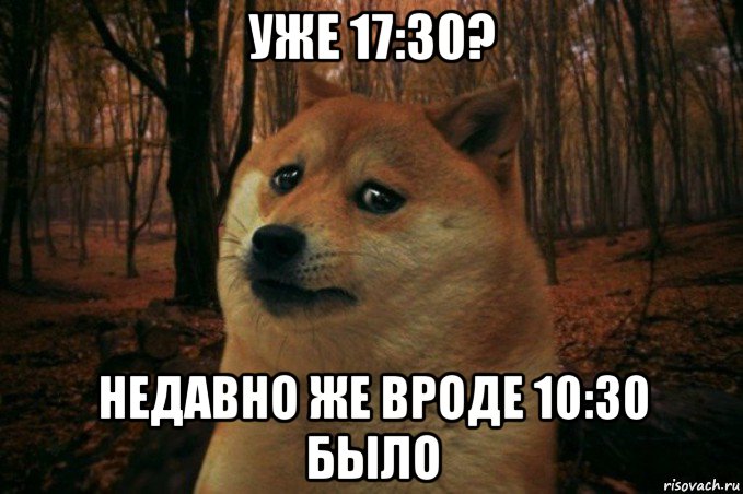 уже 17:30? недавно же вроде 10:30 было, Мем SAD DOGE