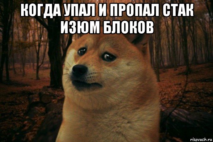 когда упал и пропал стак изюм блоков , Мем SAD DOGE