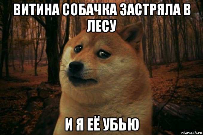 витина собачка застряла в лесу и я её убью, Мем SAD DOGE