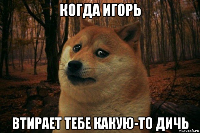 когда игорь втирает тебе какую-то дичь, Мем SAD DOGE