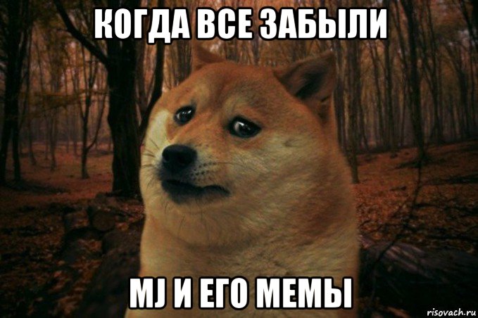 когда все забыли mj и его мемы, Мем SAD DOGE