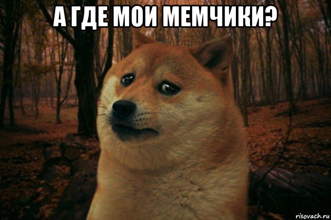 а где мои мемчики? , Мем SAD DOGE