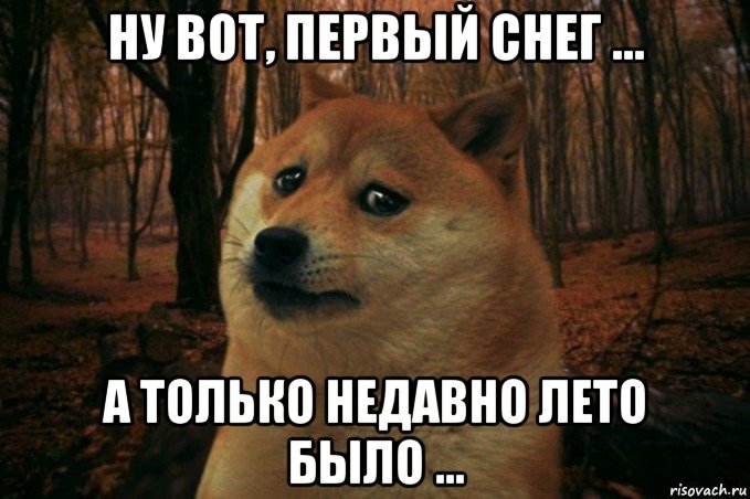 ну вот, первый снег ... а только недавно лето было ..., Мем SAD DOGE