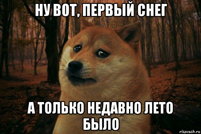 ну вот, первый снег а только недавно лето было, Мем SAD DOGE