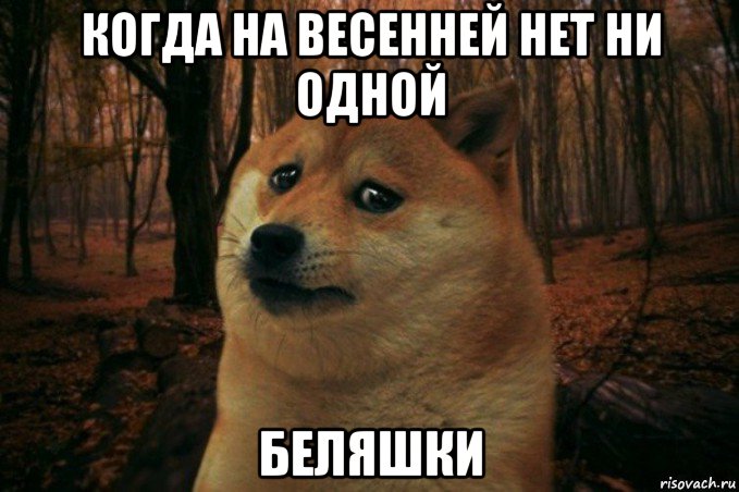 когда на весенней нет ни одной беляшки, Мем SAD DOGE