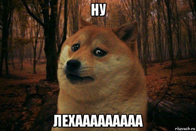 ну лехааааааааа, Мем SAD DOGE