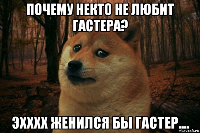 почему некто не любит гастера? эхххх женился бы гастер...., Мем SAD DOGE