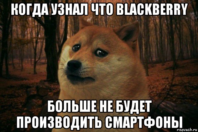 когда узнал что blackberry больше не будет производить смартфоны, Мем SAD DOGE