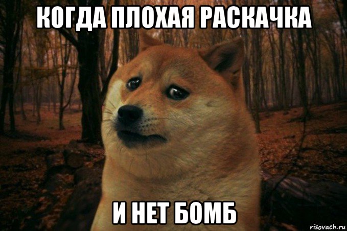 когда плохая раскачка и нет бомб, Мем SAD DOGE