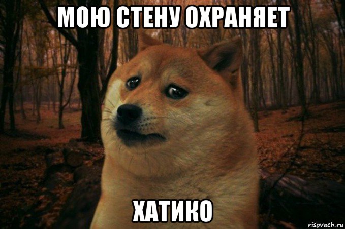 мою стену охраняет хатико, Мем SAD DOGE