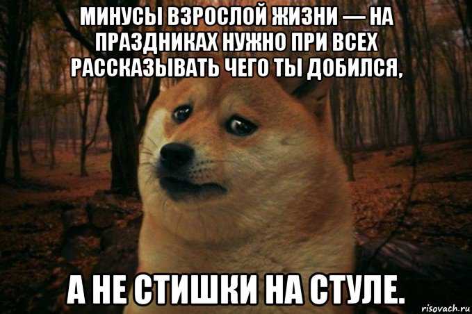 минусы взрослой жизни — на праздниках нужно при всех рассказывать чего ты добился, а не стишки на стуле., Мем SAD DOGE