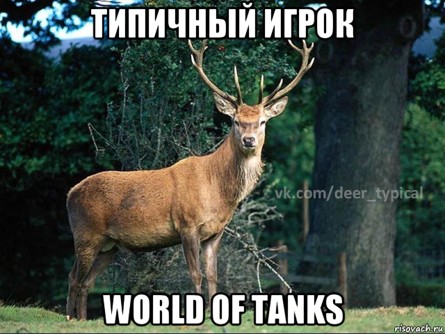 типичный игрок world of tanks, Мем Паблик Типичный олень