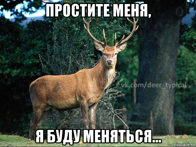 простите меня, я буду меняться..., Мем Паблик Типичный олень