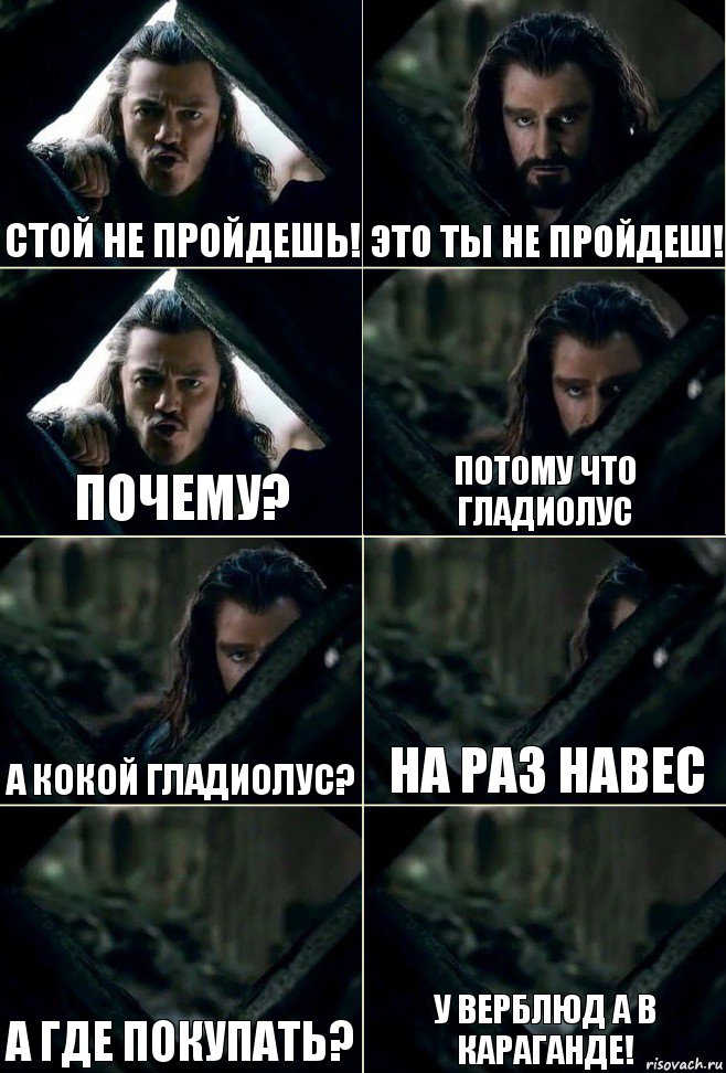 Стой не пройдешь! Это ты не пройдеш! Почему? Потому что гладиолус А кокой гладиолус? На раз навес А где покупать? У верблюд а в Караганде!, Комикс  Стой но ты же обещал