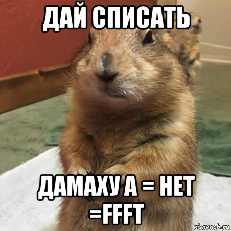 дай списать дамаху а = нет =ffft, Мем Суслик спрашивает