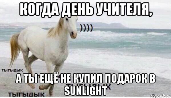 когда день учителя, а ты ещё не купил подарок в sunlight, Мем   Тыгыдык