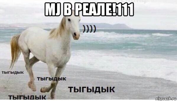 mj в реале!111 , Мем   Тыгыдык