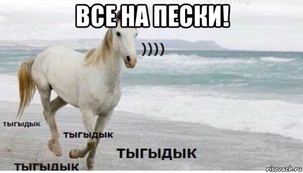 все на пески! , Мем   Тыгыдык