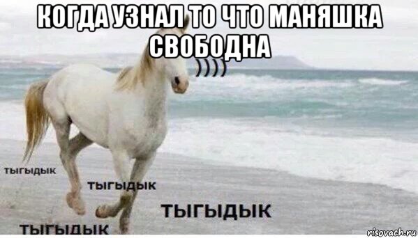 когда узнал то что маняшка свободна , Мем   Тыгыдык