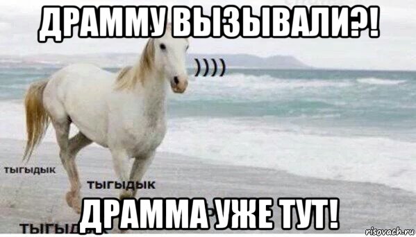 драмму вызывали?! драмма уже тут!, Мем   Тыгыдык