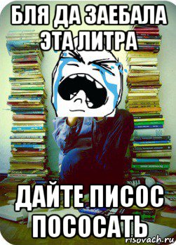 бля да заебала эта литра дайте писос пососать, Мем Типовий десятикласник