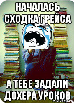 началась сходка грейса а тебе задали дохера уроков, Мем Типовий десятикласник