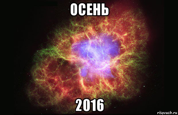 осень 2016, Мем Туманность