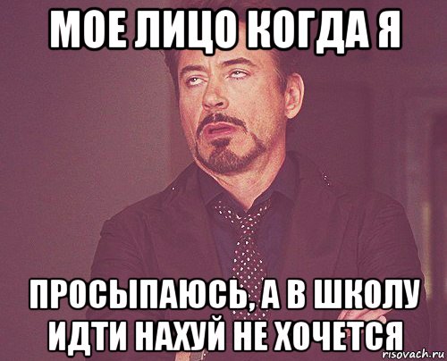 мое лицо когда я просыпаюсь, а в школу идти нахуй не хочется, Мем твое выражение лица