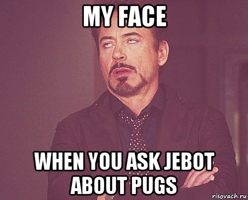 my face when you ask jebot about pugs, Мем твое выражение лица