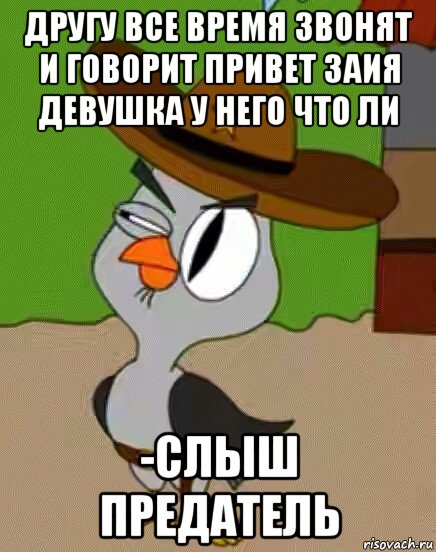 другу все время звонят и говорит привет заия девушка у него что ли -слыш предатель, Мем    Упоротая сова